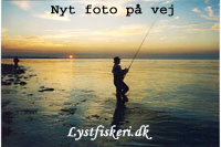 Arnager Pynt